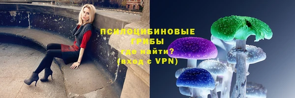 прущий лед Касимов