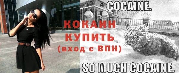 МДПВ Карпинск
