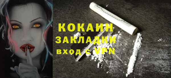МДПВ Карпинск