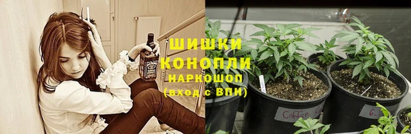 МДПВ Карпинск