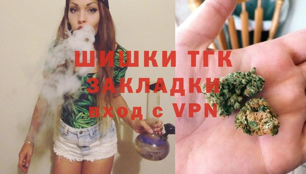 МДПВ Карпинск