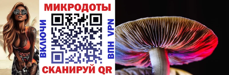 Псилоцибиновые грибы прущие грибы  дарнет шоп  OMG онион  Южно-Сухокумск 